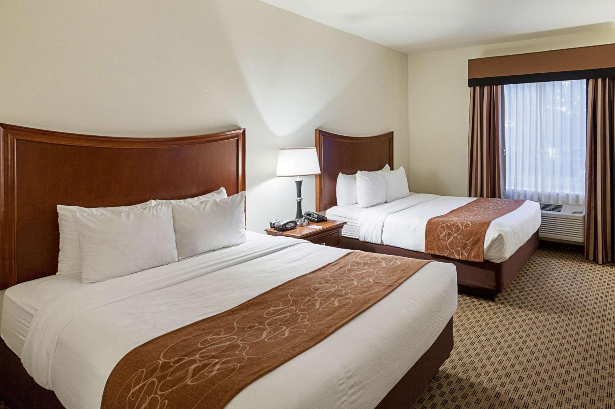 Comfort Suites San Antonio North - Stone Oak Eksteriør bilde