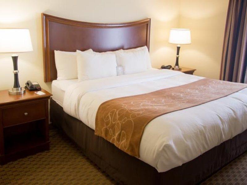 Comfort Suites San Antonio North - Stone Oak Eksteriør bilde